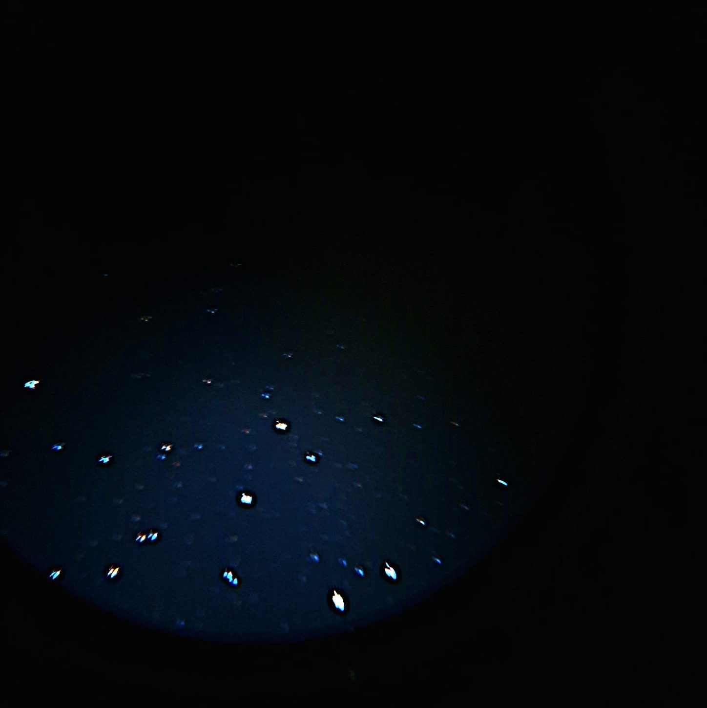Messier 39 Open Cluster